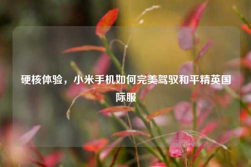 硬核体验,小米手机如何完美驾驭和平精英国际服
