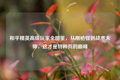 和平精英高级玩家全图鉴,从刚枪怪到战术大师,这才是特种兵的巅峰