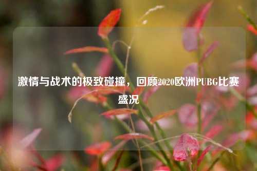 激情与战术的极致碰撞,回顾2020欧洲PUBG比赛盛况