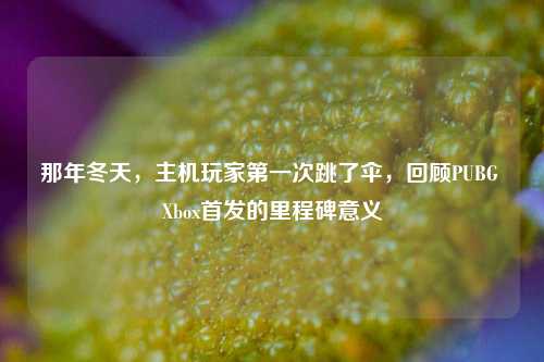 那年冬天,主机玩家第一次跳了伞,回顾PUBG Xbox首发的里程碑意义