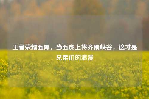 王者荣耀五黑,当五虎上将齐聚峡谷,这才是兄弟们的浪漫