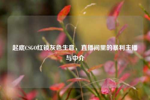 起底CSGO红锁灰色生意,直播间里的暴利主播与中介