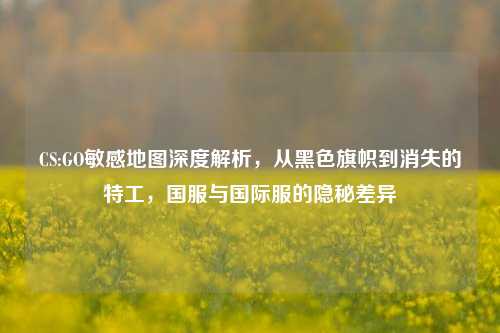 CS:GO敏感地图深度解析,从黑色旗帜到消失的特工,国服与国际服的隐秘差异