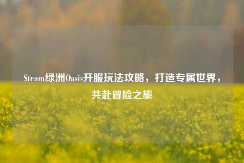 Steam绿洲Oasis开服玩法攻略,打造专属世界,共赴冒险之旅