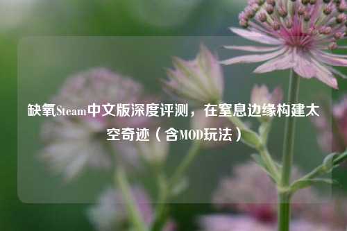 缺氧Steam中文版深度评测,在窒息边缘构建太空奇迹(含MOD玩法)