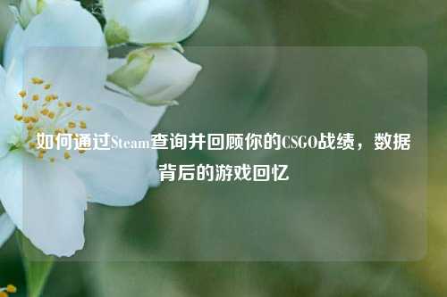 如何通过Steam查询并回顾你的CSGO战绩,数据背后的游戏回忆