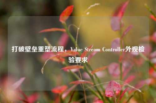 打破壁垒重塑流程,Value Stream Controller外观检验要求