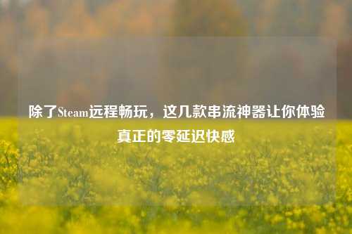除了Steam远程畅玩，这几款串流神器让你体验真正的零延迟快感