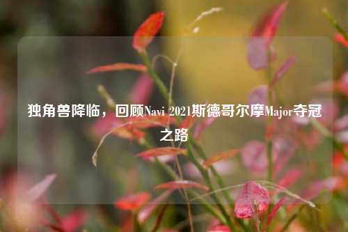 独角兽降临,回顾Navi 2021斯德哥尔摩Major夺冠之路