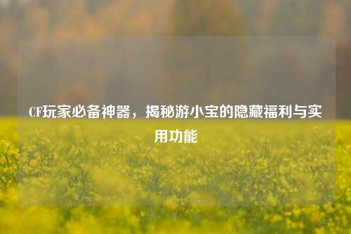 CF玩家必备神器,揭秘游小宝的隐藏福利与实用功能