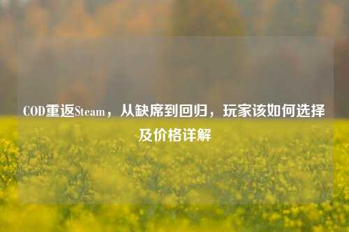 COD重返Steam,从缺席到回归,玩家该如何选择及价格详解