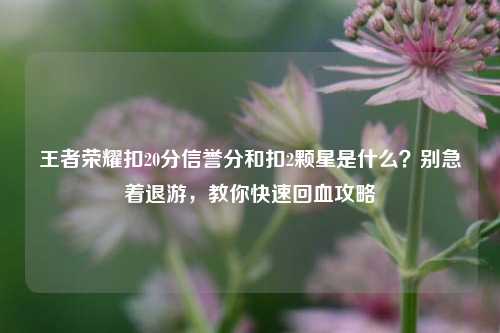 王者荣耀扣20分信誉分和扣2颗星是什么?别急着退游,教你快速回血攻略