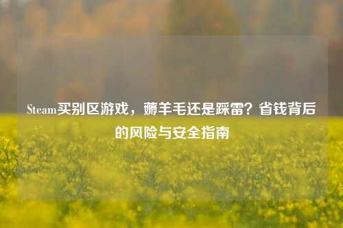 Steam买别区游戏,薅羊毛还是踩雷?省钱背后的风险与安全指南