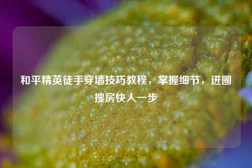 和平精英徒手穿墙技巧教程,掌握细节,进圈搜房快人一步