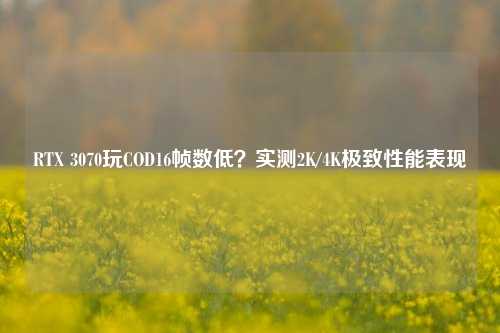 RTX 3070玩COD16帧数低?实测2K/4K极致性能表现