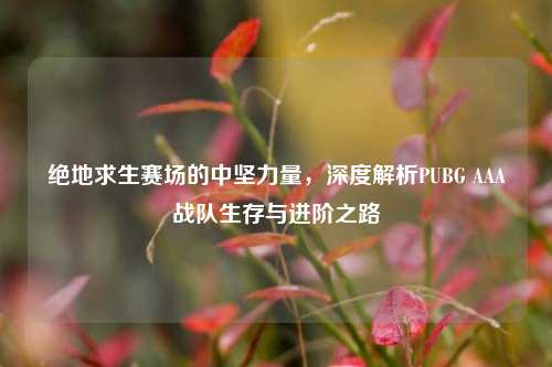 绝地求生赛场的中坚力量,深度解析PUBG AAA战队生存与进阶之路