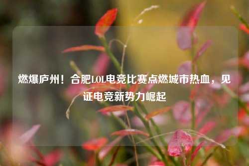 燃爆庐州!合肥LOL电竞比赛点燃城市热血,见证电竞新势力崛起