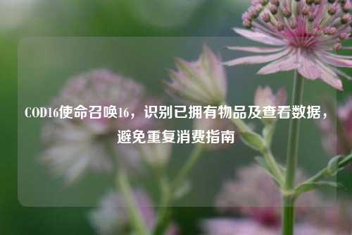 COD16使命召唤16,识别已拥有物品及查看数据,避免重复消费指南