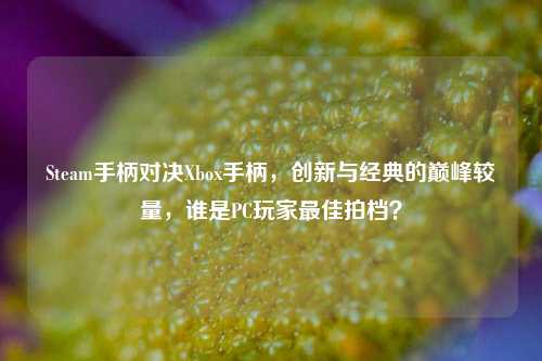 Steam手柄对决Xbox手柄,创新与经典的巅峰较量,谁是PC玩家最佳拍档?