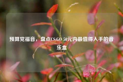 预算党福音,盘点CS:GO 50元内最值得入手的音乐盒