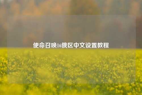 使命召唤16俄区中文设置教程