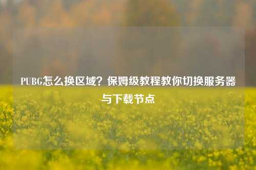 PUBG怎么换区域?保姆级教程教你切换服务器与下载节点