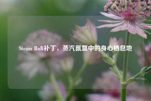 Steam BnB补丁,蒸汽氤氲中的身心栖息地