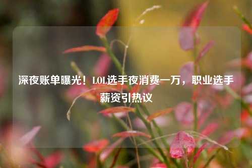 深夜账单曝光!LOL选手夜消费一万,职业选手薪资引热议