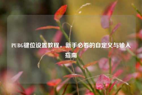 PUBG键位设置教程,新手必看的自定义与输入指南
