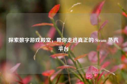 探索数字游戏殿堂,带你走进真正的 Steam 蒸汽平台