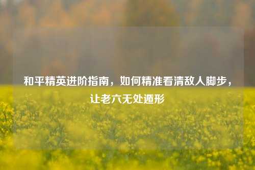 和平精英进阶指南,如何精准看清敌人脚步,让老六无处遁形