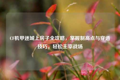 CF机甲迷城上房子全攻略,掌握制高点与穿透技巧,轻松主宰战场