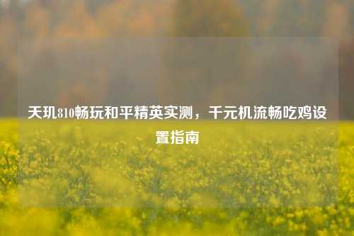 天玑810畅玩和平精英实测,千元机流畅吃鸡设置指南