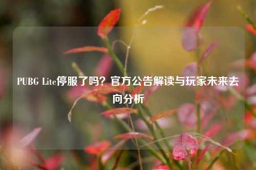 PUBG Lite停服了吗?官方公告解读与玩家未来去向分析