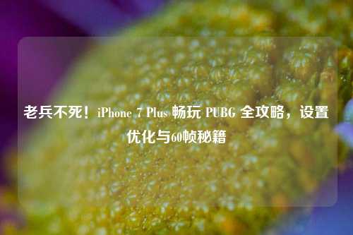 老兵不死!iPhone 7 Plus 畅玩 PUBG 全攻略,设置优化与60帧秘籍