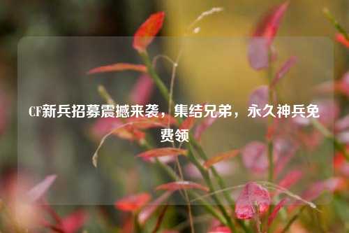 CF新兵招募震撼来袭,集结兄弟,永久神兵免费领