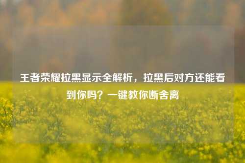 王者荣耀拉黑显示全解析,拉黑后对方还能看到你吗?一键教你断舍离
