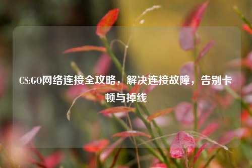 CS:GO网络连接全攻略,解决连接故障,告别卡顿与掉线