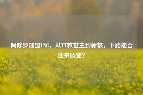 阿修罗加盟LNG,从TT救世主到新核,下路能否迎来质变?