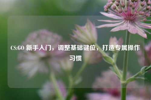 CS:GO 新手入门,调整基础键位,打造专属操作习惯