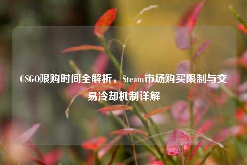 CSGO限购时间全解析,Steam市场购买限制与交易冷却机制详解