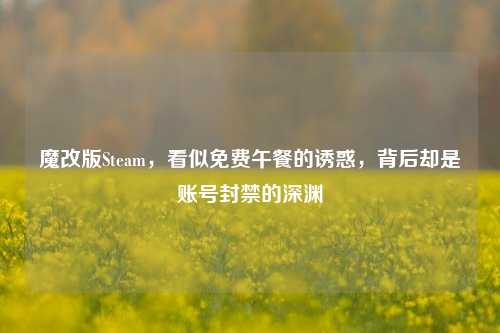 魔改版Steam,看似免费午餐的诱惑,背后却是账号封禁的深渊