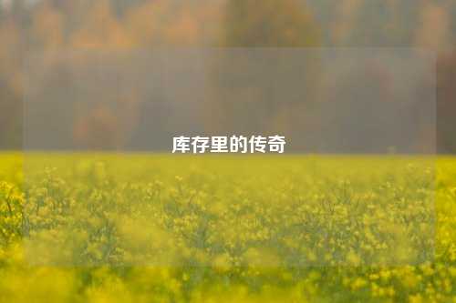 库存里的传奇