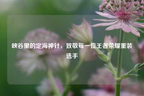 峡谷里的定海神针,致敬每一位王者荣耀重装选手