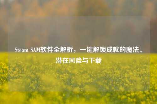 Steam SAM软件全解析,一键解锁成就的魔法、潜在风险与下载