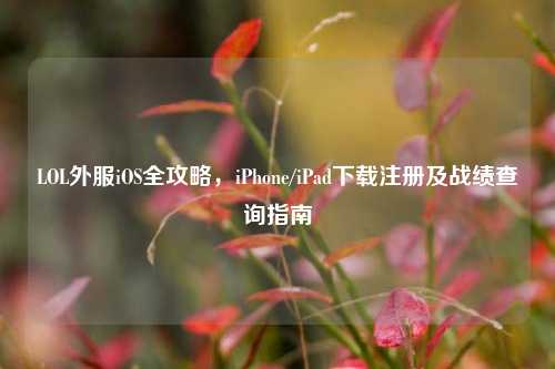 LOL外服iOS全攻略，iPhone/iPad下载注册及战绩查询指南