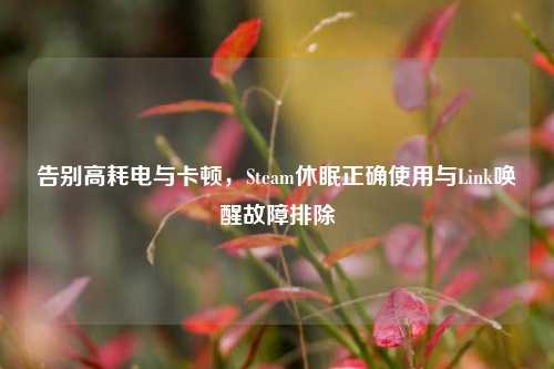 告别高耗电与卡顿,Steam休眠正确使用与Link唤醒故障排除