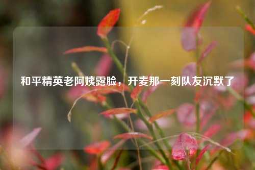 和平精英老阿姨露脸,开麦那一刻队友沉默了