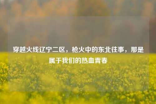 穿越火线辽宁二区,枪火中的东北往事,那是属于我们的热血青春