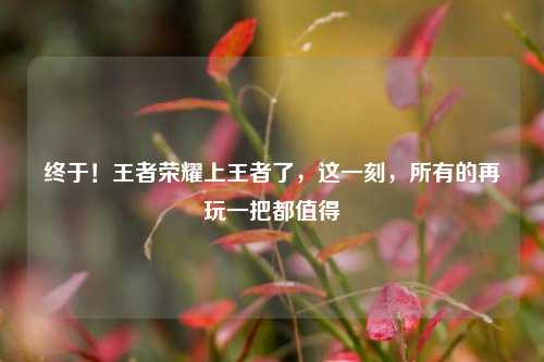 终于!王者荣耀上王者了,这一刻,所有的再玩一把都值得